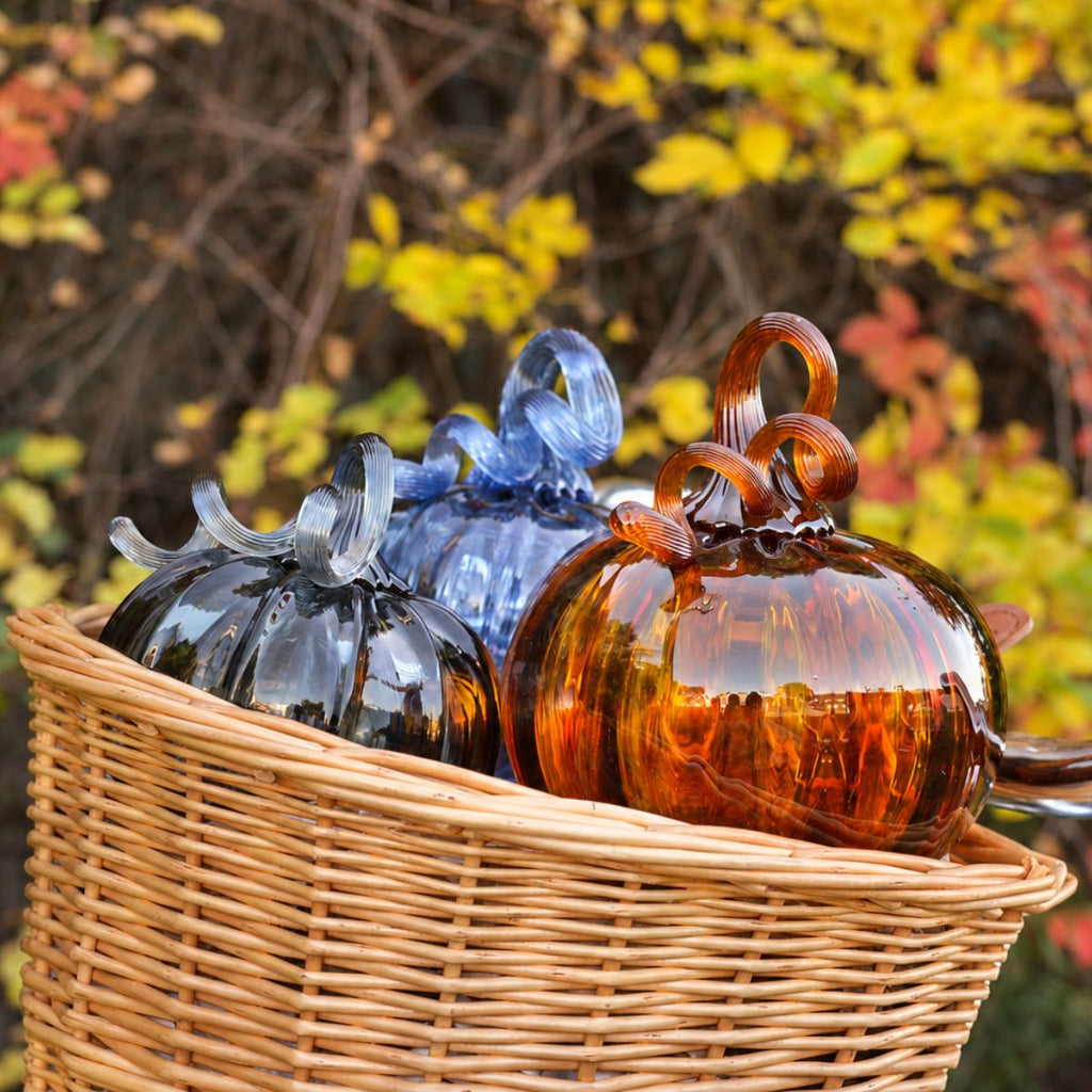 Pumpkin Patch 2026 - Limited Edition Pumpkin!