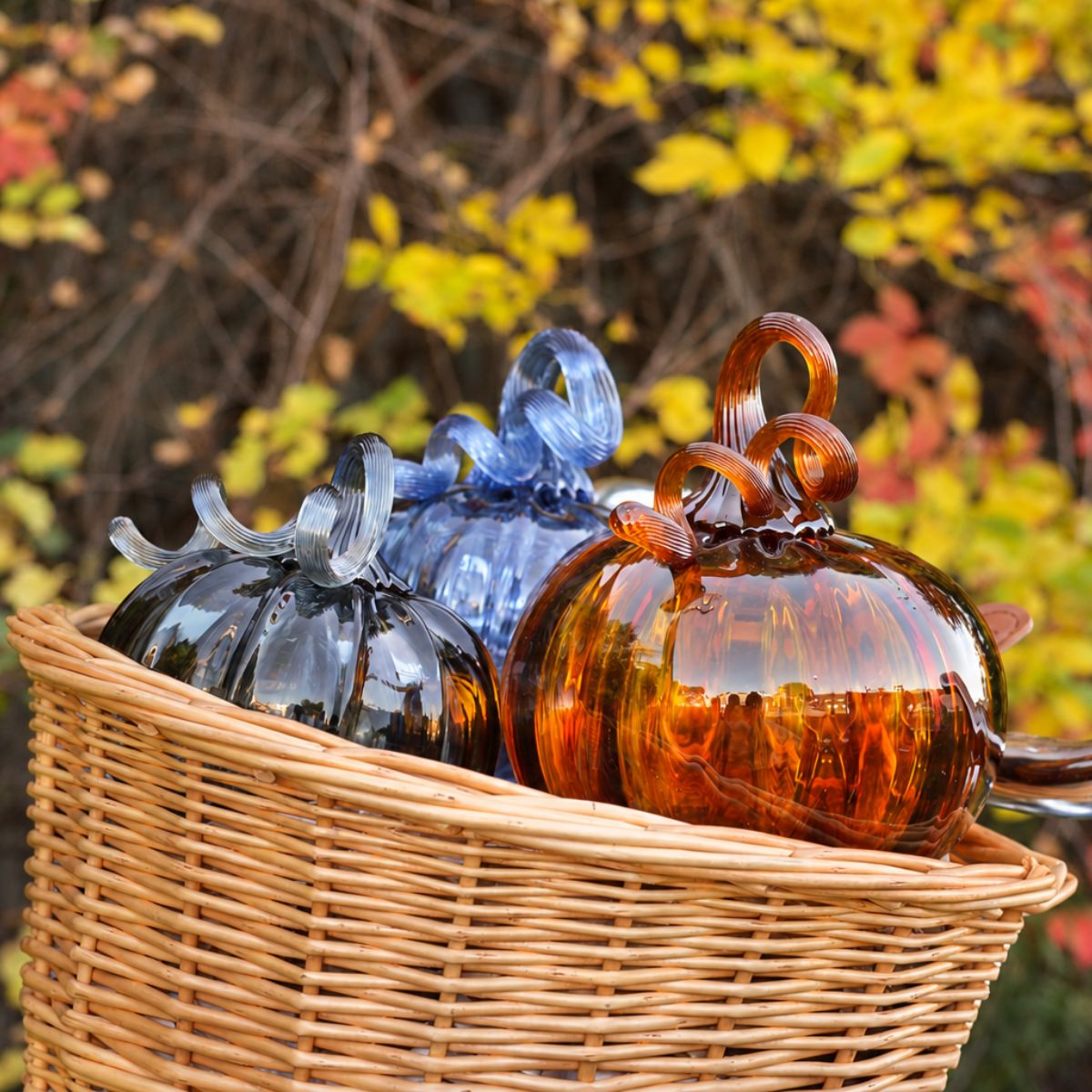 Pumpkin Patch 2026 - Limited Edition Pumpkin!