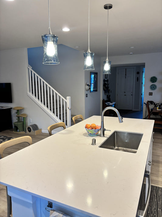 818 Single Pendant Light