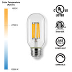 4 Watt LED Filament Bulb (2700k) - Dimmable & Energy-Efficient | Bicycle Glass Co.-Lightbulb-Bicycle Glass Co - Hardware-Single Bulb-Bicycle Glass Co