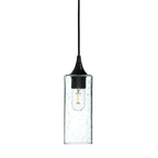 513 Single Pendant Light-Bicycle Glass Co-Matte Black 15ft Cord + Track Mount-Lunar-Eco Clear-Bicycle Glass Co