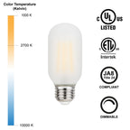 6 Watt Frosted LED Filament Bulb (2700k) - Dimmable & Energy-Efficient | Bicycle Glass Co.-Lightbulb-Bicycle Glass Co - Hardware-Single Bulb-Bicycle Glass Co