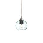 763 Single Pendant Light-Bicycle Glass Co-Brushed Nickel 15ft Cord + Track Mount-Lunar-Eco Clear-Bicycle Glass Co