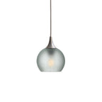 763 Single Pendant Light-Bicycle Glass Co-Brushed Nickel 15ft Cord + Track Mount-Celestial-Eco Clear-Bicycle Glass Co