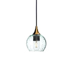763 Single Pendant Light-Bicycle Glass Co-Polished Brass 15ft Cord + Track Mount-Lunar-Eco Clear-Bicycle Glass Co