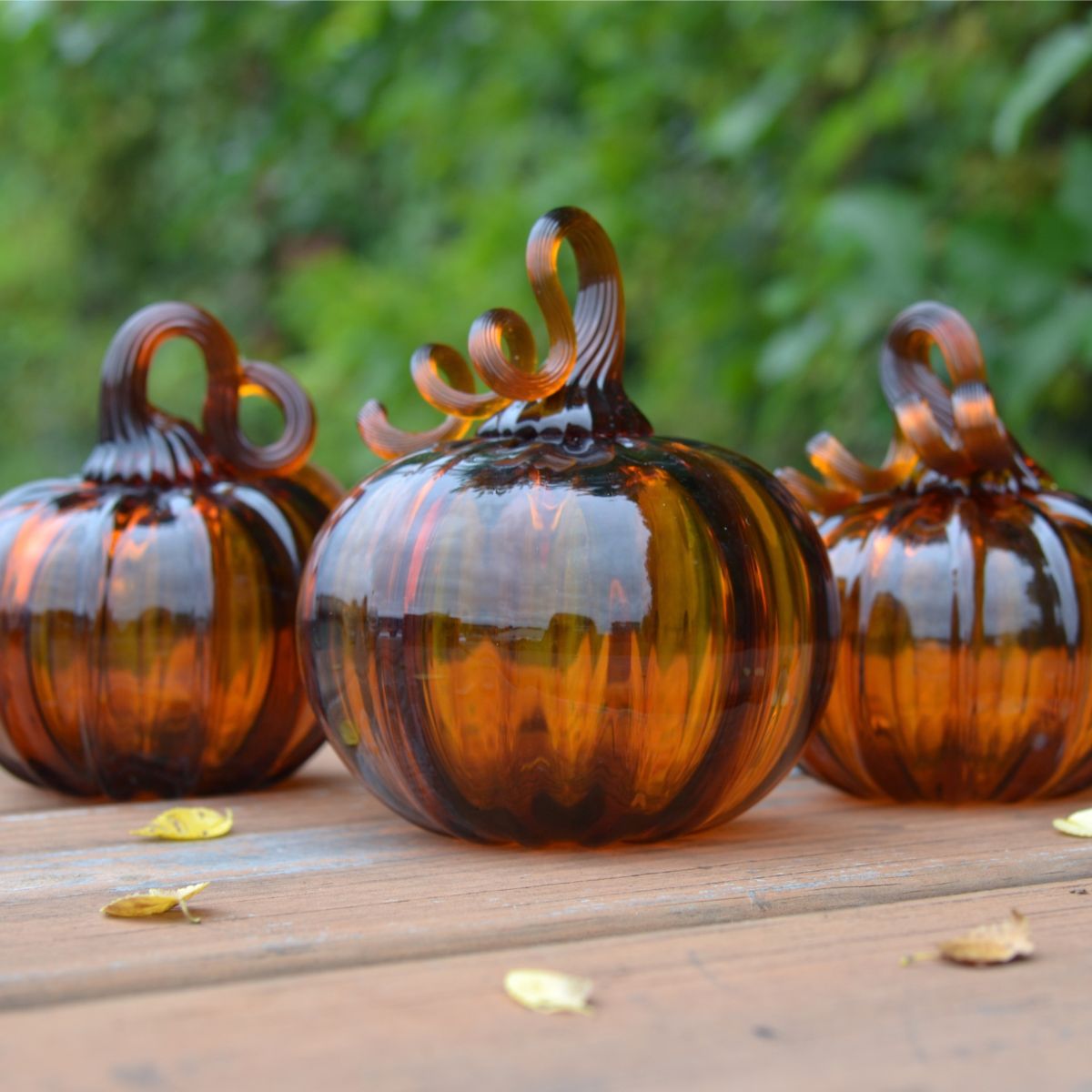 Pumpkin Patch 2026 - Limited Edition Pumpkin!