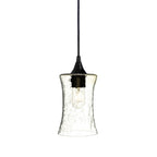 818 Single Pendant Light-Bicycle Glass Co-Matte Black 15ft Cord + Track Mount-Lunar-Eco Clear-Bicycle Glass Co