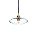 951 Single Pendant Light-Bicycle Glass Co-Polished Brass 15ft Cord + Track Mount-Lunar-Eco Clear-Bicycle Glass Co