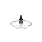 951 Single Pendant Light-Bicycle Glass Co-Matte Black 15ft Cord + Track Mount-Lunar-Eco Clear-Bicycle Glass Co